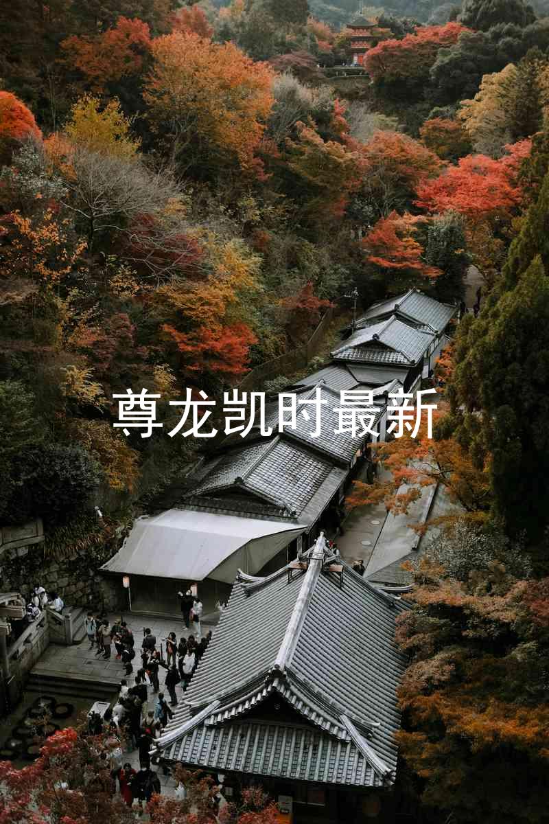 尊龙凯时最新
