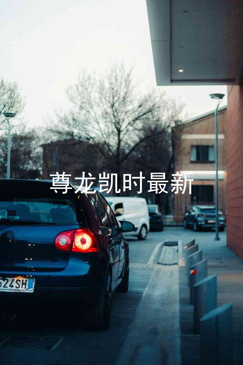尊龙凯时最新