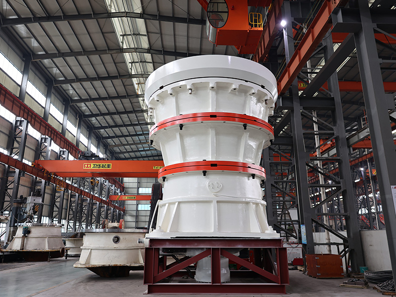 ×ðÁú¿Ê±- ÈËÉú¾ÍÊDz«!